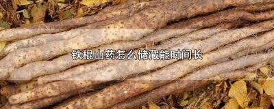 ​铁棍山药怎么储藏能时间长