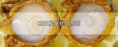 ​蜂王胎是什么东西