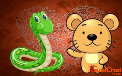 ​属鼠和属蛇的合不合呢 需要注意哪些方面