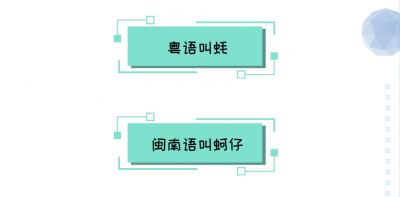 ​生蚝和牡蛎有什么区别