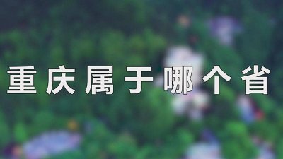 ​惠州属于哪个省 遵义属于哪个省市