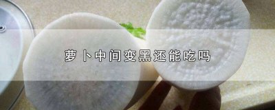 ​红皮萝卜中间变黑还能吃吗 绿皮萝卜中间变黑还能吃吗