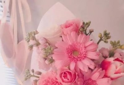 ​宠物洗美培训