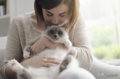 ​猫咪得了猫传腹吃什么好猫传腹不宜吃什么