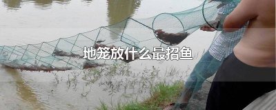 ​地笼捕鱼怎么放比较好 地笼捕鱼怎么让鱼进笼