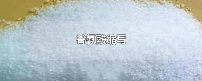 ​谷氨酰胺和谷氨酸缩写 谷氨酸单字母缩写