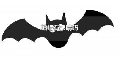 ​蝙蝠有没有眼睛他看得见吗 蝙蝠的眼睛看得见吗?