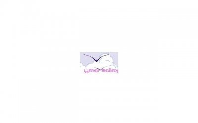 ​金牛男离婚后悔复婚吗