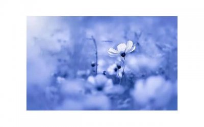 ​失去一个好女孩的痛苦（错过一个好姑娘是什么体验）