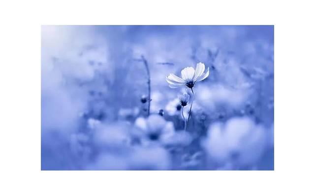 失去一个好女孩的痛苦(错过一个好姑娘是什么体验) 失去一个好女孩的痛苦(错过一个好姑娘是什么体验)