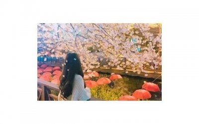 ​女子向男子表白却拒绝了(男子向女子表白被拒绝)