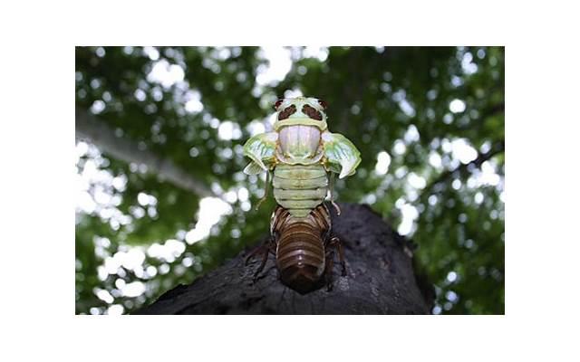 描述素材的表白套路(表白素材图片大全) 描述素材的表白套路(表白素材图片大全)