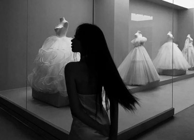 ​明明注定没有结果为何飞蛾扑火(现实中有多少人爱得如同飞蛾扑火)