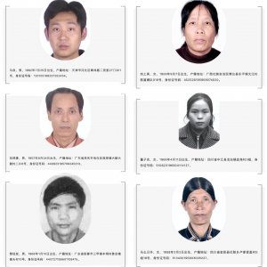 ​一周警报｜公安部A级通缉令，意味着什么？