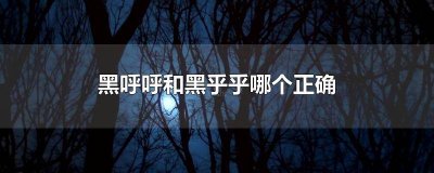 ​黑乎乎还是黑呼呼 黑乎乎对吗