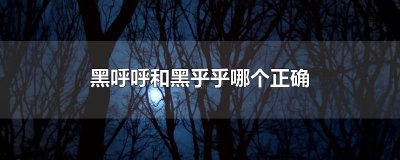 ​黑呼呼和黑乎乎哪个正确