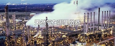 ​天然气在哪里缴费