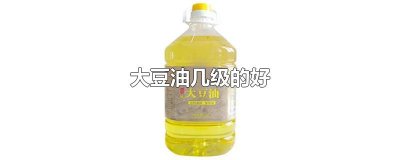 ​大豆油几级的好