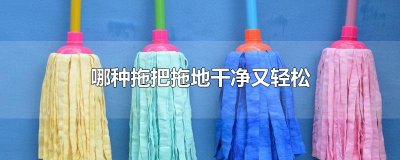 ​哪种拖把拖地干净又轻松