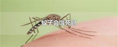 ​蚊子会饿死吗