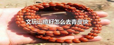 ​文玩山楂籽怎么去青皮快