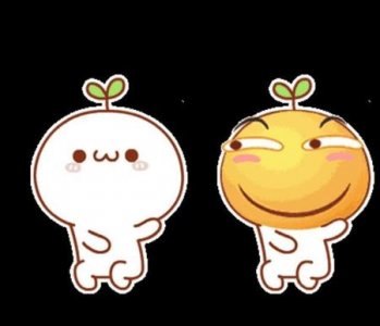 ​笑到头掉 是什么梗(到头的意思)