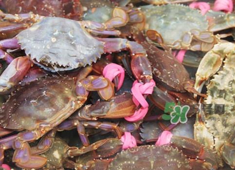 赤甲红蒸多长时间好？赤甲红好还是飞蟹好