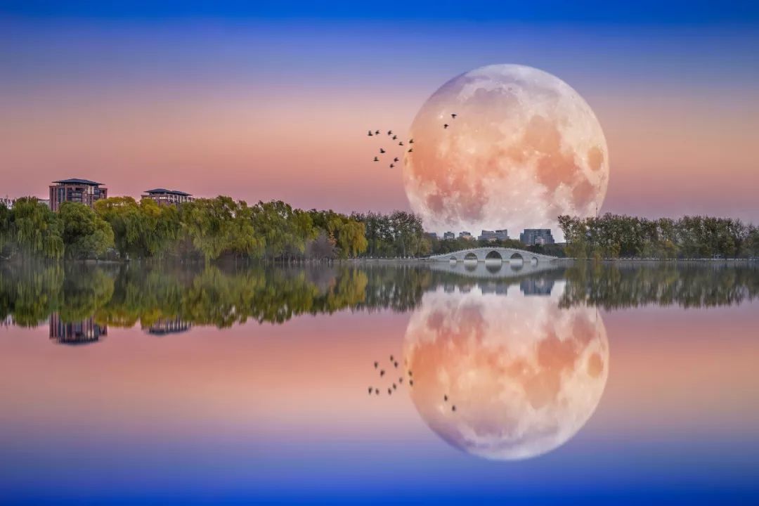 尺有所短寸有所长的事例(尺有所短寸有所长的事例:探寻事物的多样性) 尺有所短寸有所长的事例(尺有所短寸有所长的事例:探寻事物的多样性)