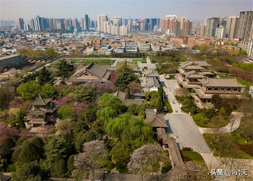 充满传说的西安青龙寺樱花开了