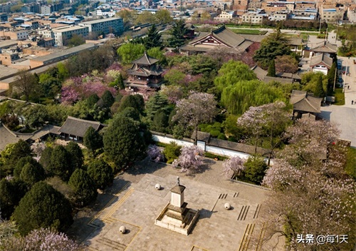 充满传说的西安青龙寺樱花开了