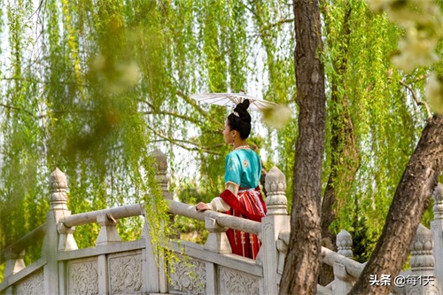 充满传说的西安青龙寺樱花开了