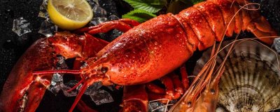 ​龙虾壳能吃吗 麻辣小龙虾的皮能吃吗