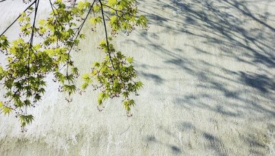 ​民以食为天是谁说的