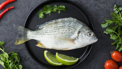 ​鮰鱼是清江鱼吗